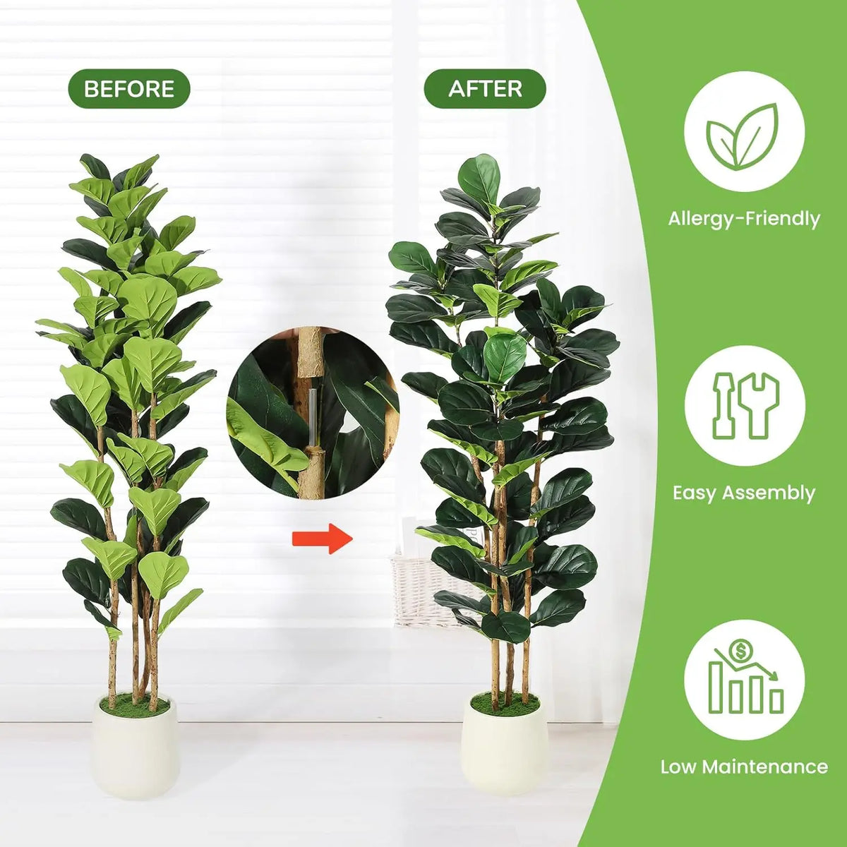 Before and after comparison of a realistic Fiddle Leaf Fig artificial tree with pot, highlighting allergy-friendly features.