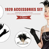 1920s Gatsby Flapper Accessory Set with Headband, Gloves, Pearl Necklace & Cigarette Holder