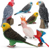 A collection of hand-painted resin parrot figurines in various colors and species.