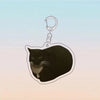 A black cat silhouette attached to a silver acrylic keychain ring.