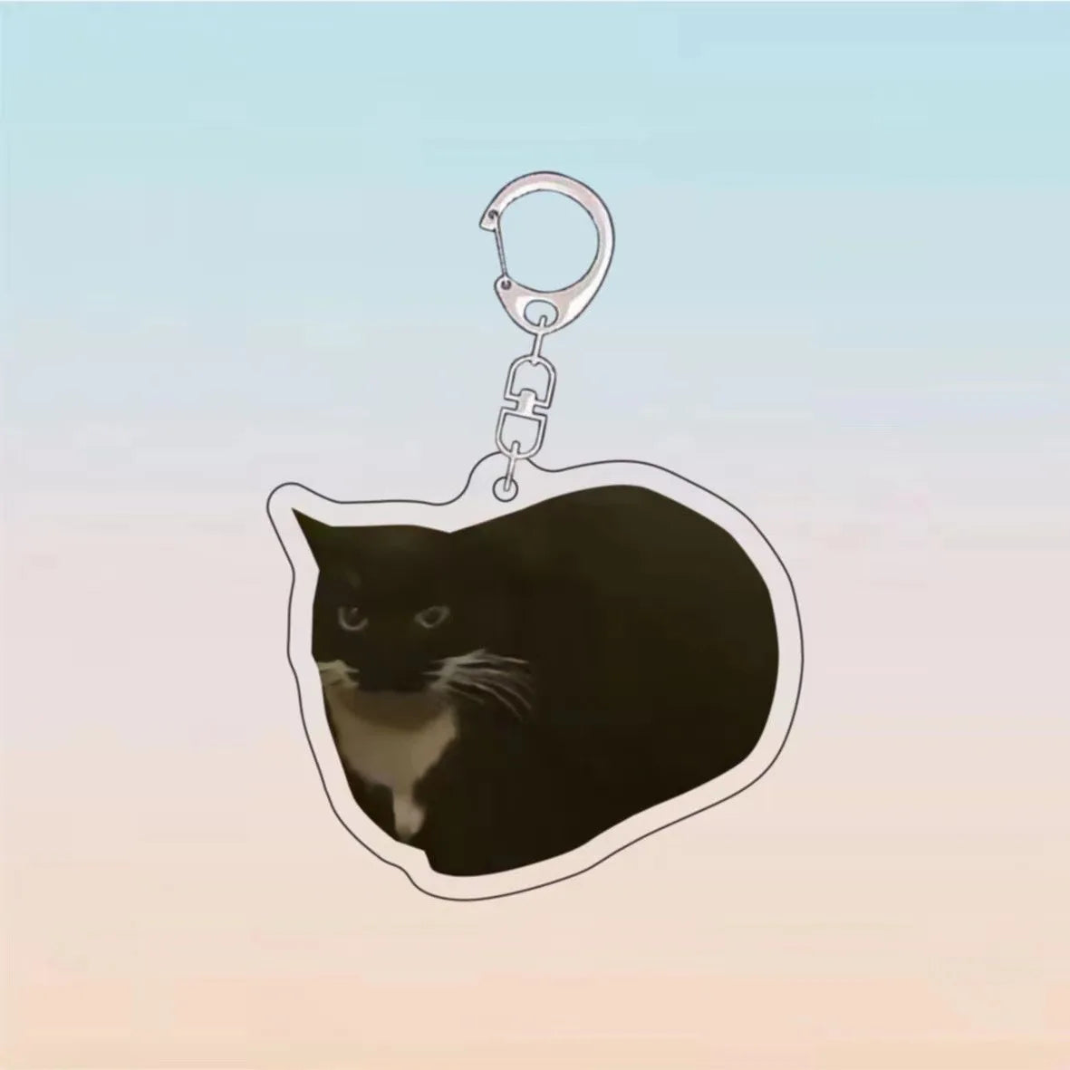 A black cat silhouette attached to a silver acrylic keychain ring.