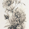 A detailed black and white botanical illustration of various flowers and leaves on textured paper.
