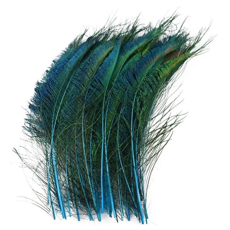 A bundle of natural peacock feathers in shades of teal and blue.