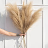 A hand holds a large, dried beige pampas grass stem against a white door panel.