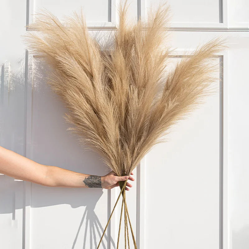 A hand holds a large, dried beige pampas grass stem against a white door panel.