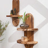 Two wooden wall shelves displaying small decorative items and a potted plant on a white wall.