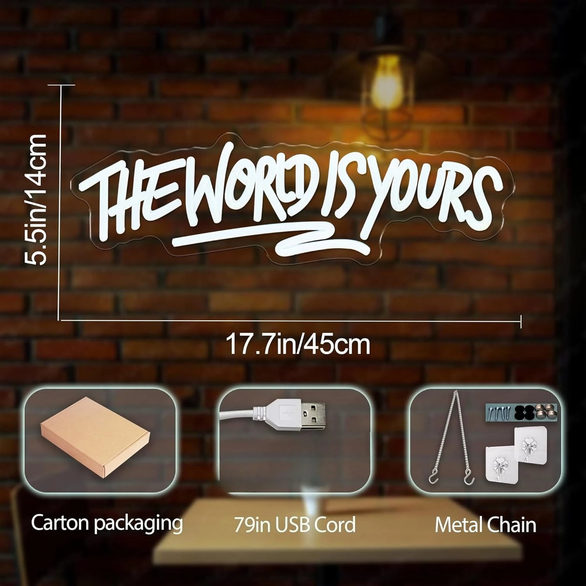 A clear acrylic sign with the text THE WORLD IS YOURS mounted on a brick wall, shown alongside its packaging and components.