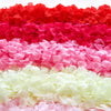 A colorful display of silk rose petals in shades of red, pink, and white.