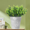 Plante d'eucalyptus artificielle en pot en céramique gris clair contre un mur vert pâle.