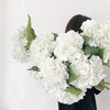 A large bouquet of white artificial hydrangea flowers with green leaves.