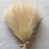 A bundle of light beige artificial pampas grass stems used for boho wedding and home decor.