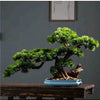 A green ceramic bonsai tree in a blue pot displayed on a wooden surface.