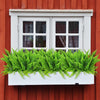 Green artificial Boston ferns and shrubs displayed in a white window box against a red wooden wall.