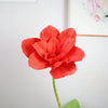 A vibrant red peony flower with green stem and leaf against a white background.