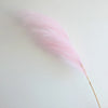 A delicate, fluffy pink pampas grass stem lying on a white surface.