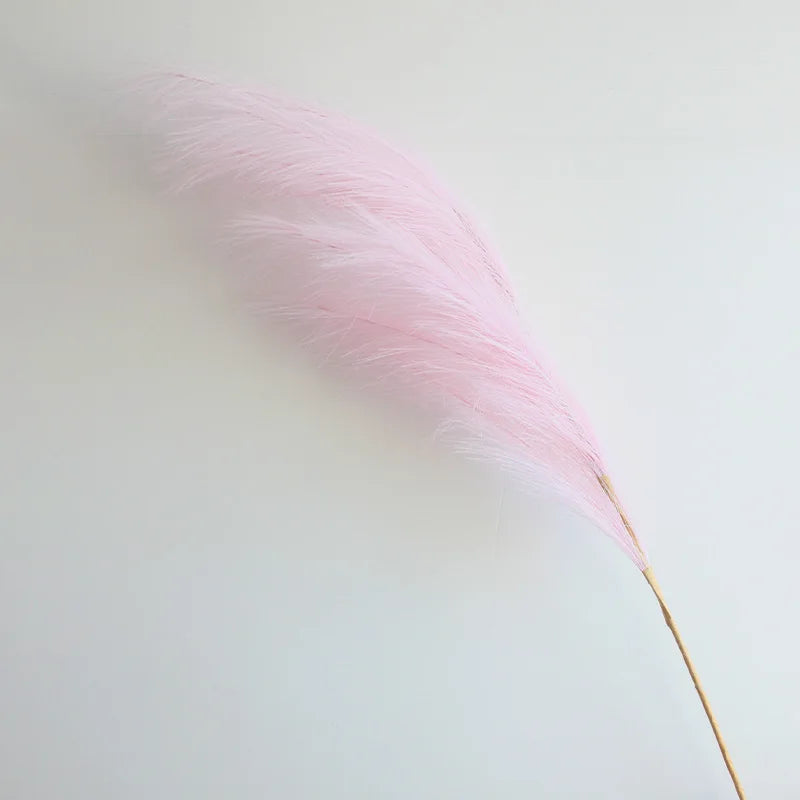 A delicate, fluffy pink pampas grass stem lying on a white surface.