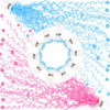 A collection of hand-thrown confetti streamers in pink and blue colors shown against a white background.