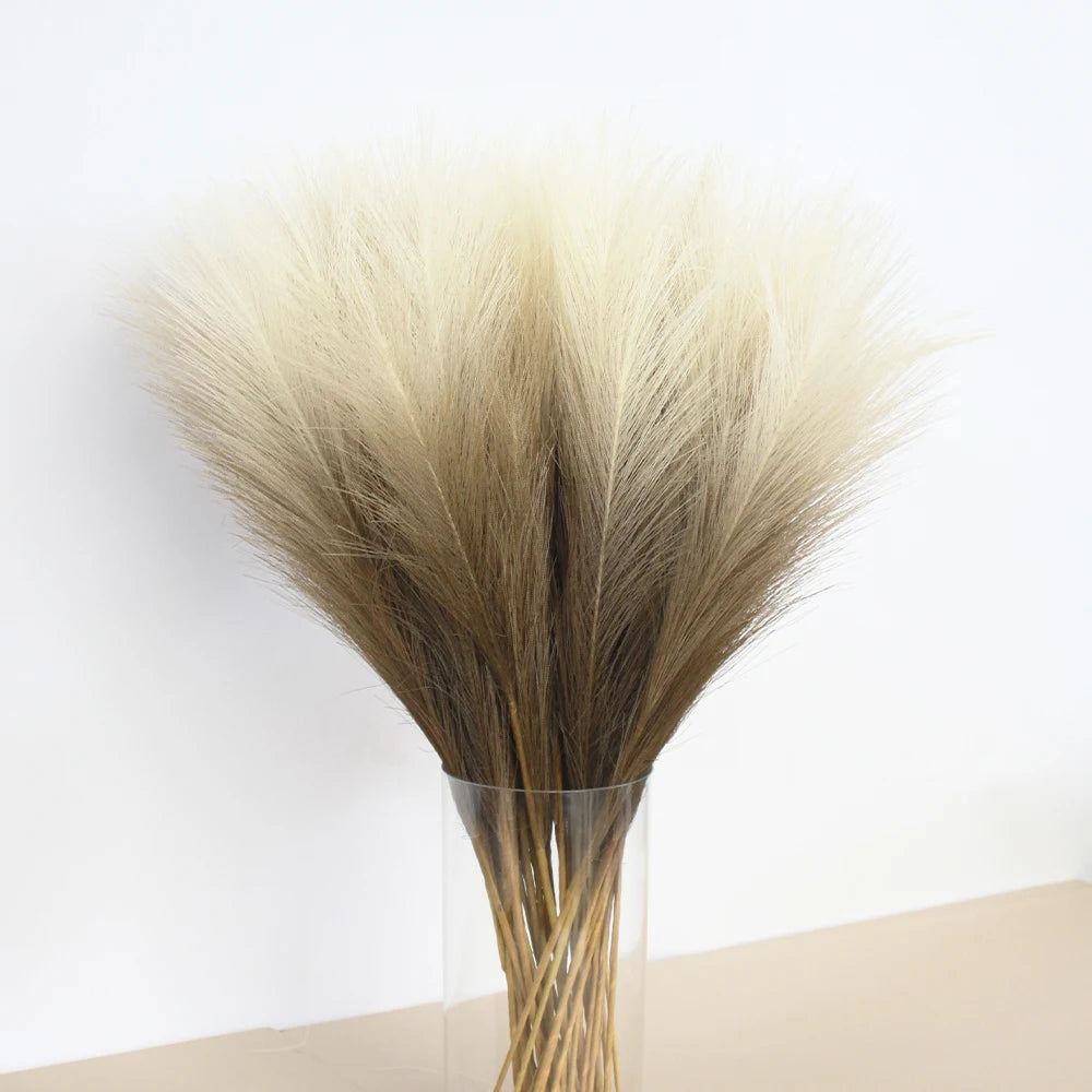 A bundle of dried ornamental grass with feathery plumes in shades of beige and brown.