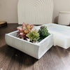 A white book-shaped silicone mold containing succulents and small stones on a wooden surface.