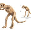 A light brown dinosaur skeleton model with a long tail and legs, shown next to a scale reference.