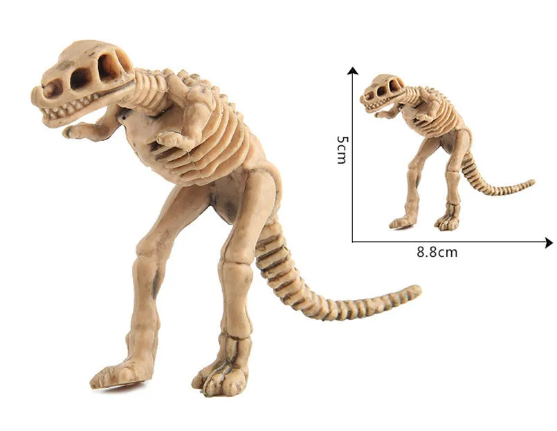 A light brown dinosaur skeleton model with a long tail and legs, shown next to a scale reference.