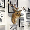 Rustic Faux Deer Head Wall Décor with Antlers