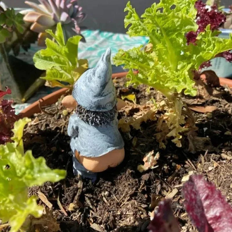 A small blue gnome statue garden ornament planted in dark soil with green lettuce plants.