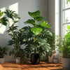 A large artificial monstera palm plant in a black pot sits on a wooden floor next to a window.