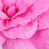 Close-up of vibrant pink PE foam rose flowers used for wedding and party decoration