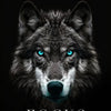 A close-up portrait of a wolf with striking blue eyes against a dark background, titled FOCUS.