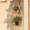 Étagère flottante en bois bohème avec plantes suspendues par des crochets en macramé sur un mur.