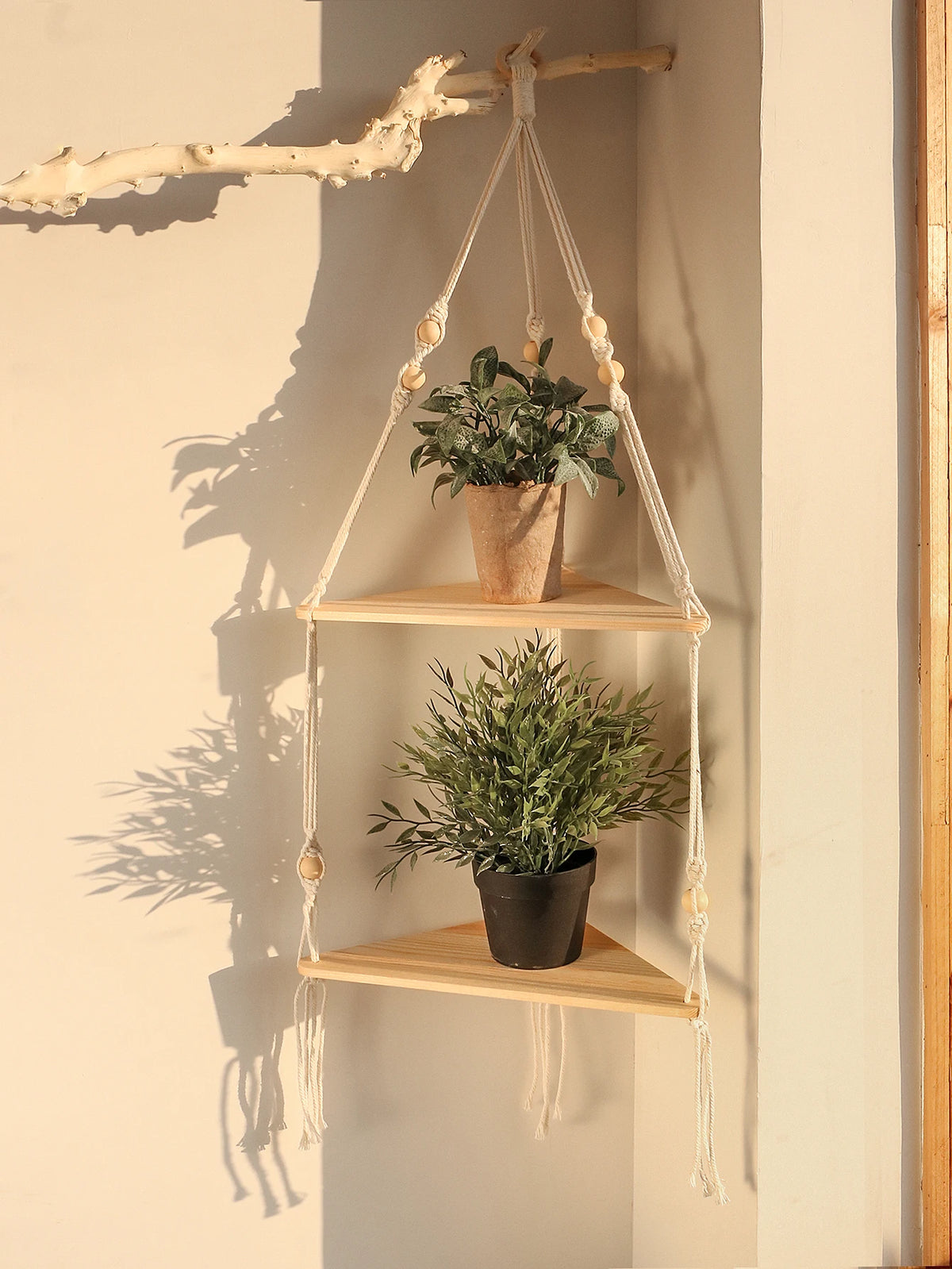 Étagère flottante en bois bohème avec plantes suspendues par des crochets en macramé sur un mur.