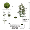 Artificial moss plant kit showing parts and final olive tree size 62.99 inches tall