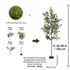 Artificial moss plant kit showing parts and final olive tree size 62.99 inches tall