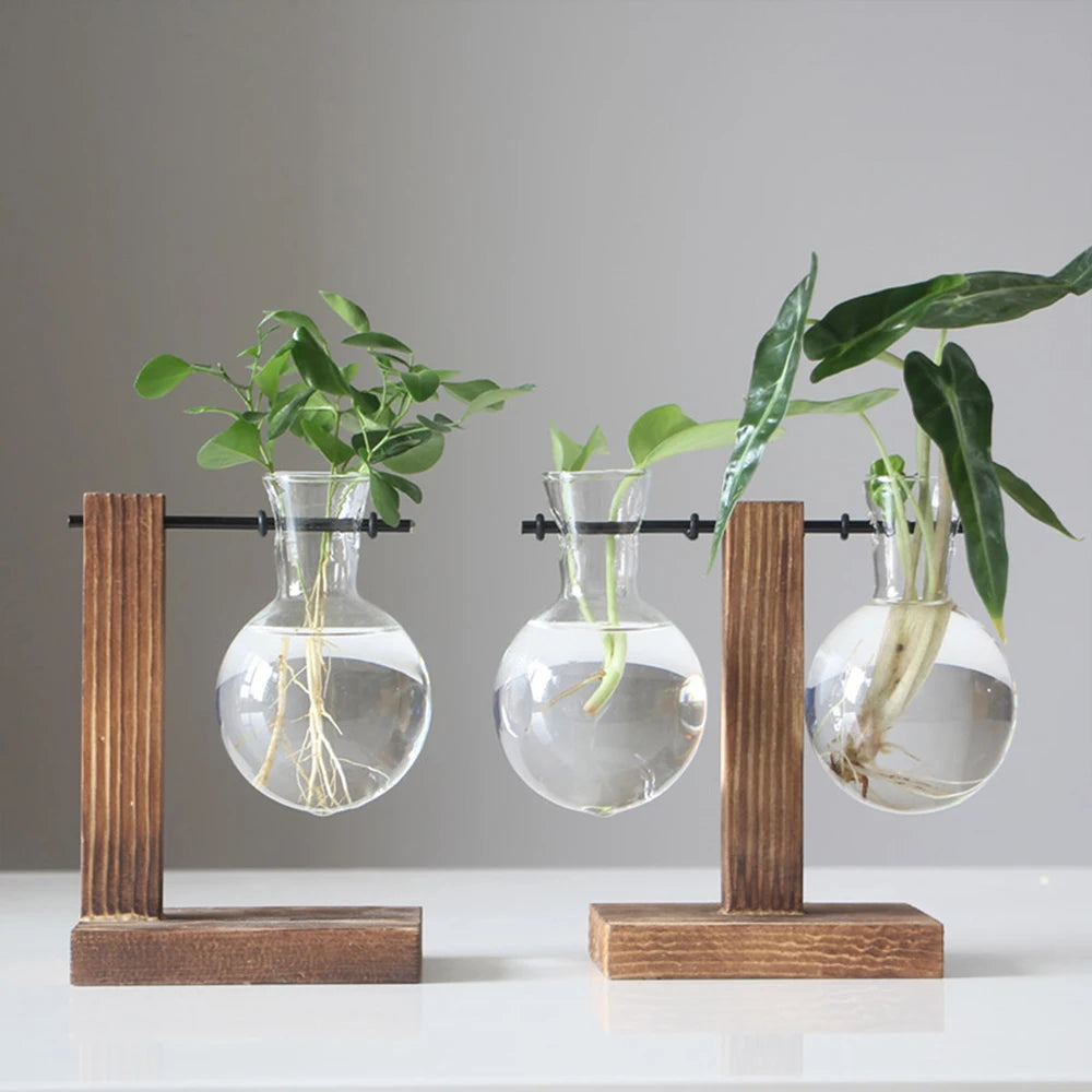 A glass bulb planter with roots is displayed on a wooden stand for desk