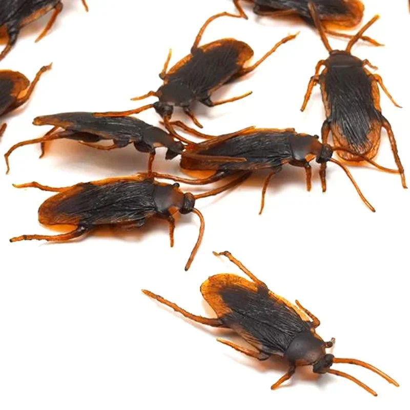 Several plastic cockroach gag toys are scattered on a white background.