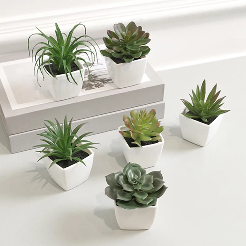 A set of five small artificial succulent plants in white pots displayed on a light gray box.