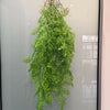Artificial hanging ivy vine with green leaves displayed in a glass cabinet.