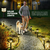 A man walks alongside a golden dog in a garden featuring solar outdoor pathway lights.