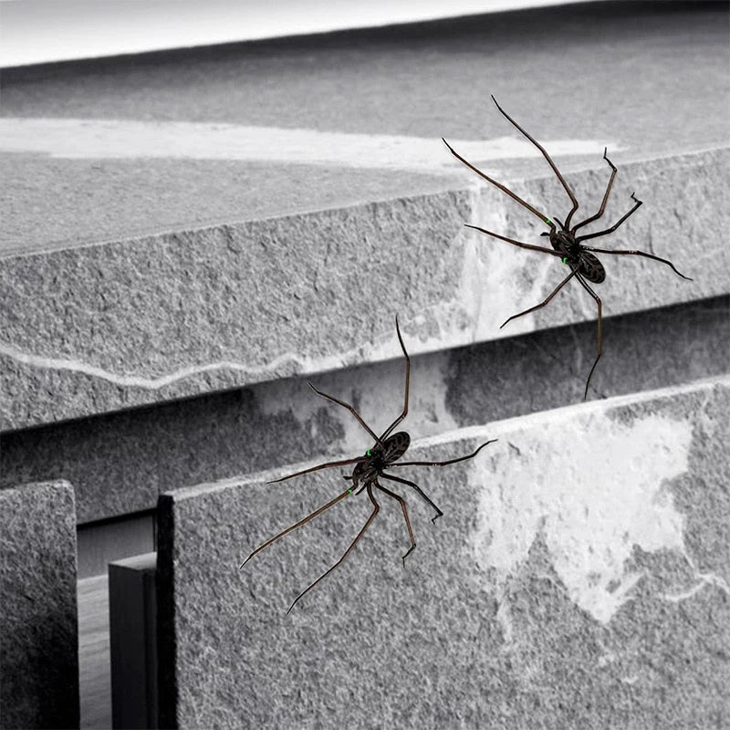 Two realistic spiders crawling on a gray stone surface, used as horror decor.