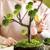 A hand is holding a small tree made of artificial green moss on a wooden base.