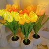 A bouquet of yellow and orange tulips in white ceramic pots used as a night light.
