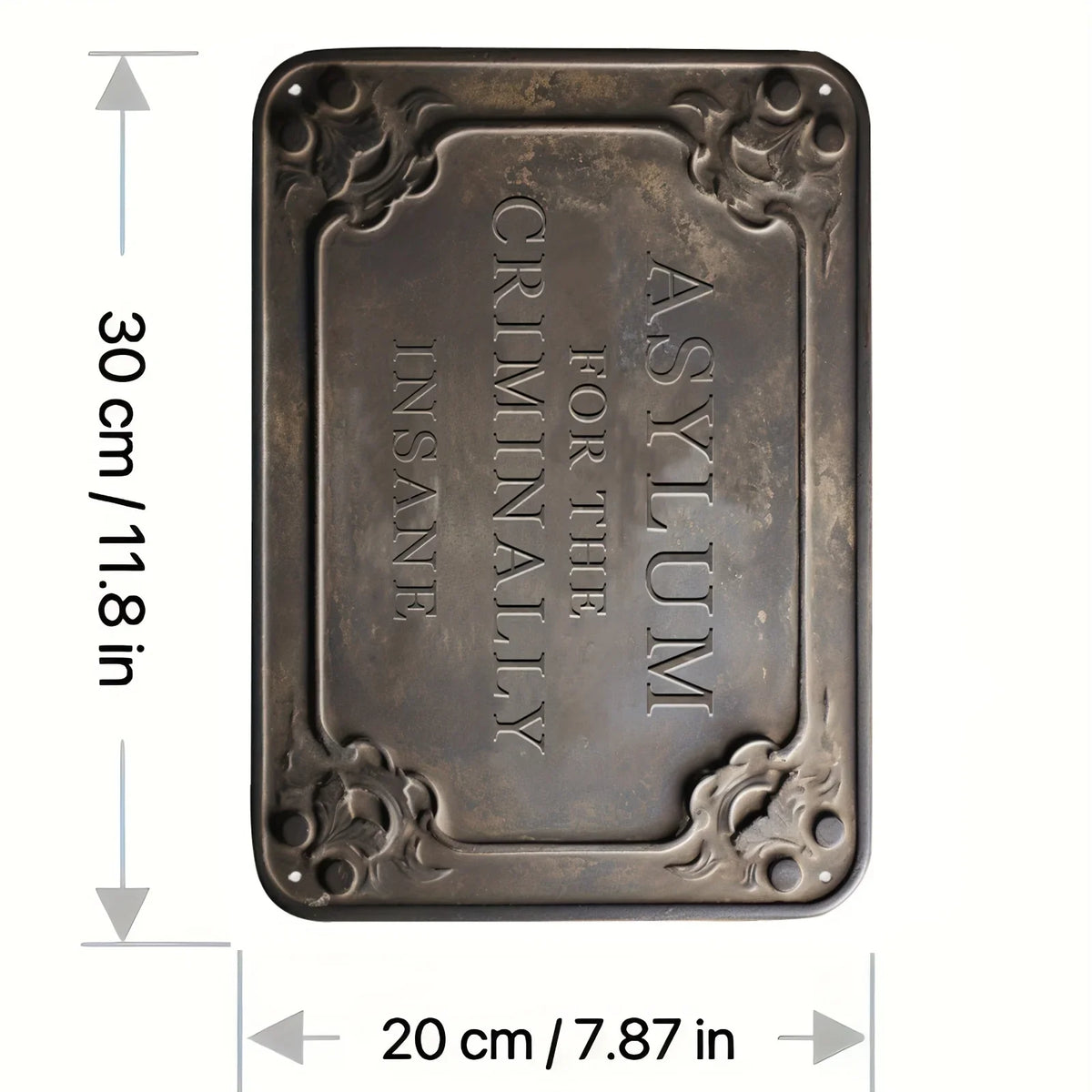 A rectangular, dark metal tin sign with an ornate border and the text ASYLUM FOR THE INSANE engraved on it.