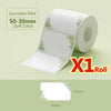Roll of white thermal label paper with green foliage design, measuring 50mm by 30mm.