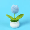 A hand-woven crochet blue flower with green leaves planted in a white pot.