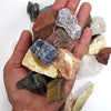 A hand holds a collection of natural raw healing crystal stones in various colors and shapes.