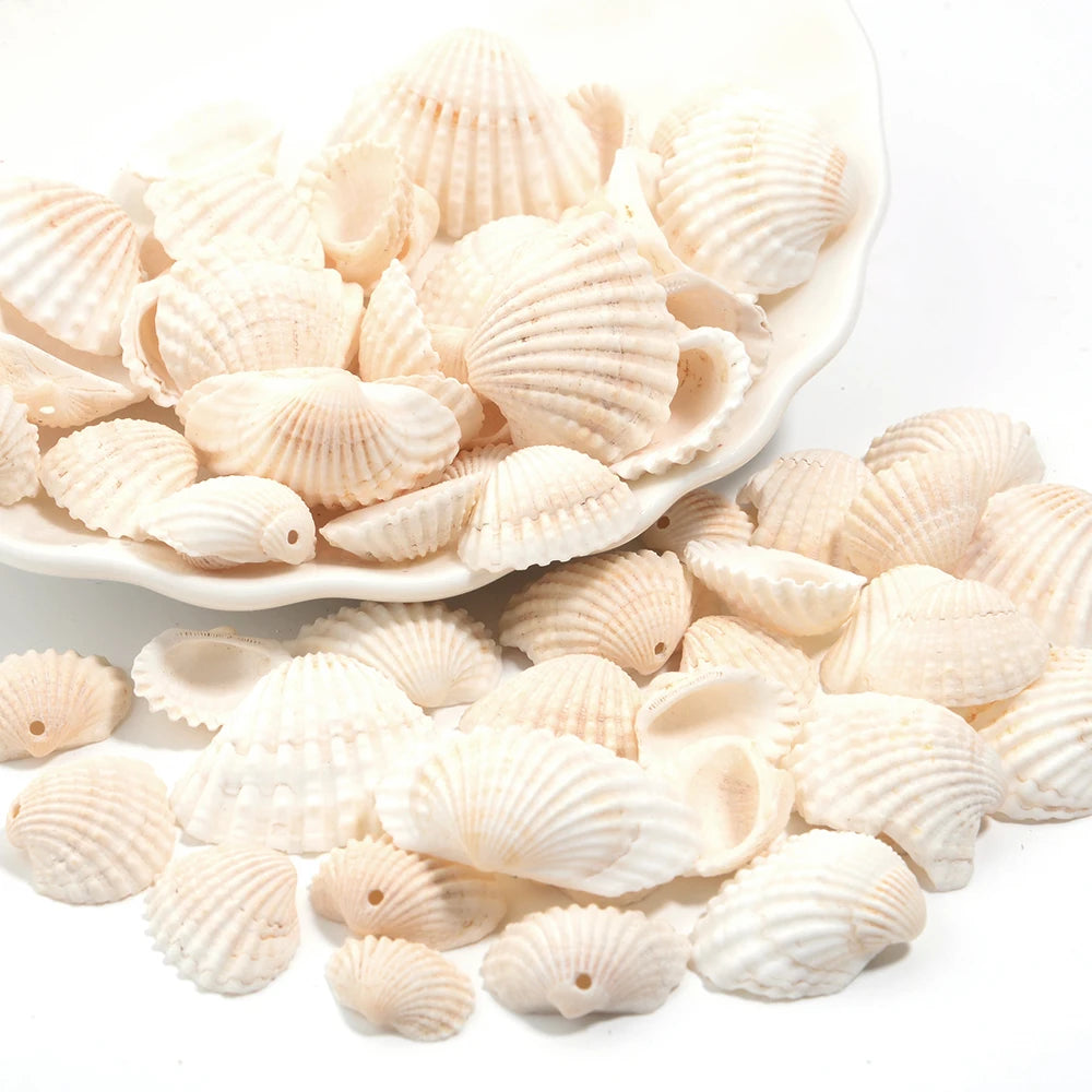 Natural Sea Snail Shell Beads for DIY Jewelry Making