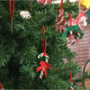Green fir tree decorated with red and white candy cane ornaments hanging from the branches