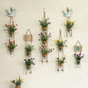 A display of various potted flowers and greenery arranged in hanging glass terrariums on a white wall.
