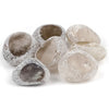 A collection of tumbled natural crystals including clear quartz, rose quartz, and amethyst stones.